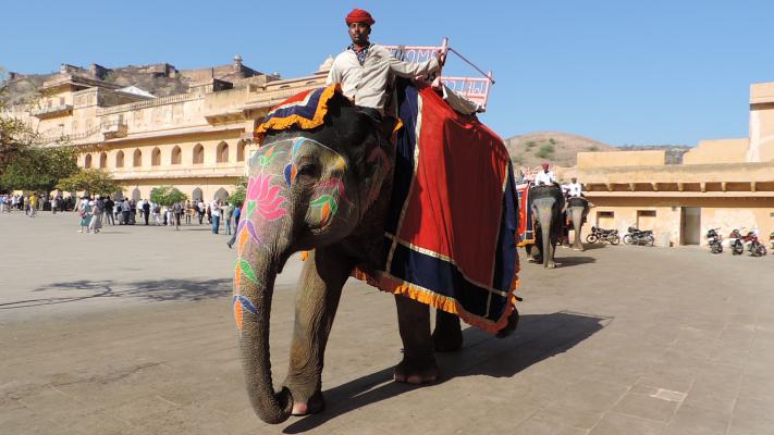 Jaipur sightseeing tour